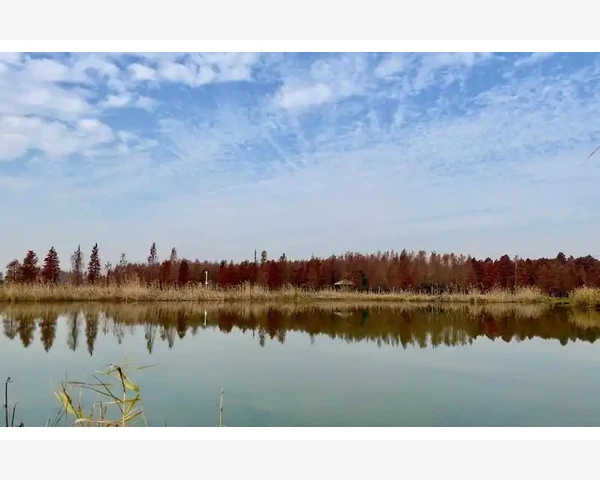 给宝宝煲什么化痰最好